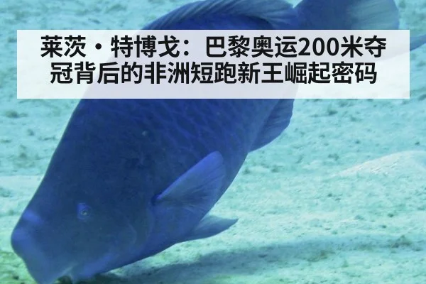 莱茨·特博戈:巴黎奥运200米夺冠背后的非洲短跑新王崛起密码